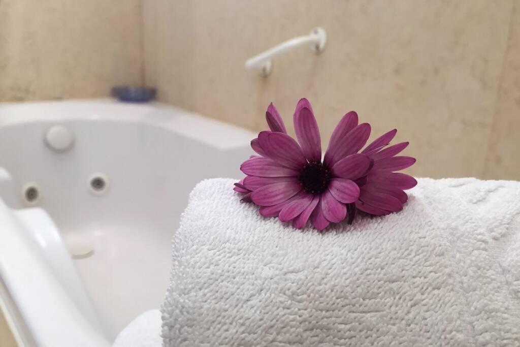 Apartament Quinta Barracuda Albufeira Zewnętrze zdjęcie